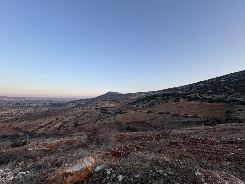 GAZİANTEP NİZİP'DE 53.004 M2 SATILIK FISTIK BAHÇESİ